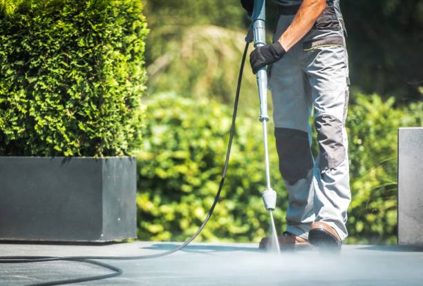 Best Gutter Cleaning  in Elma, WA